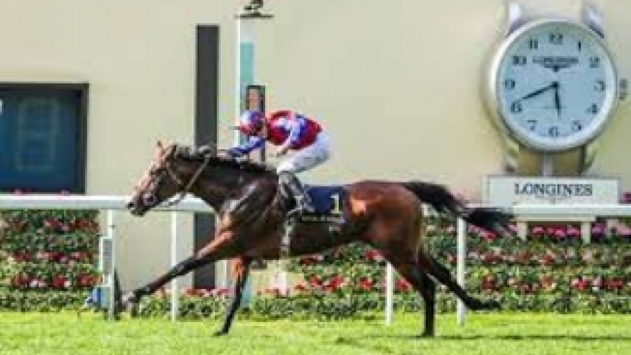 Changingoftheguard Provides Trainer Aidan O'Brien With His 8 ... Image 1